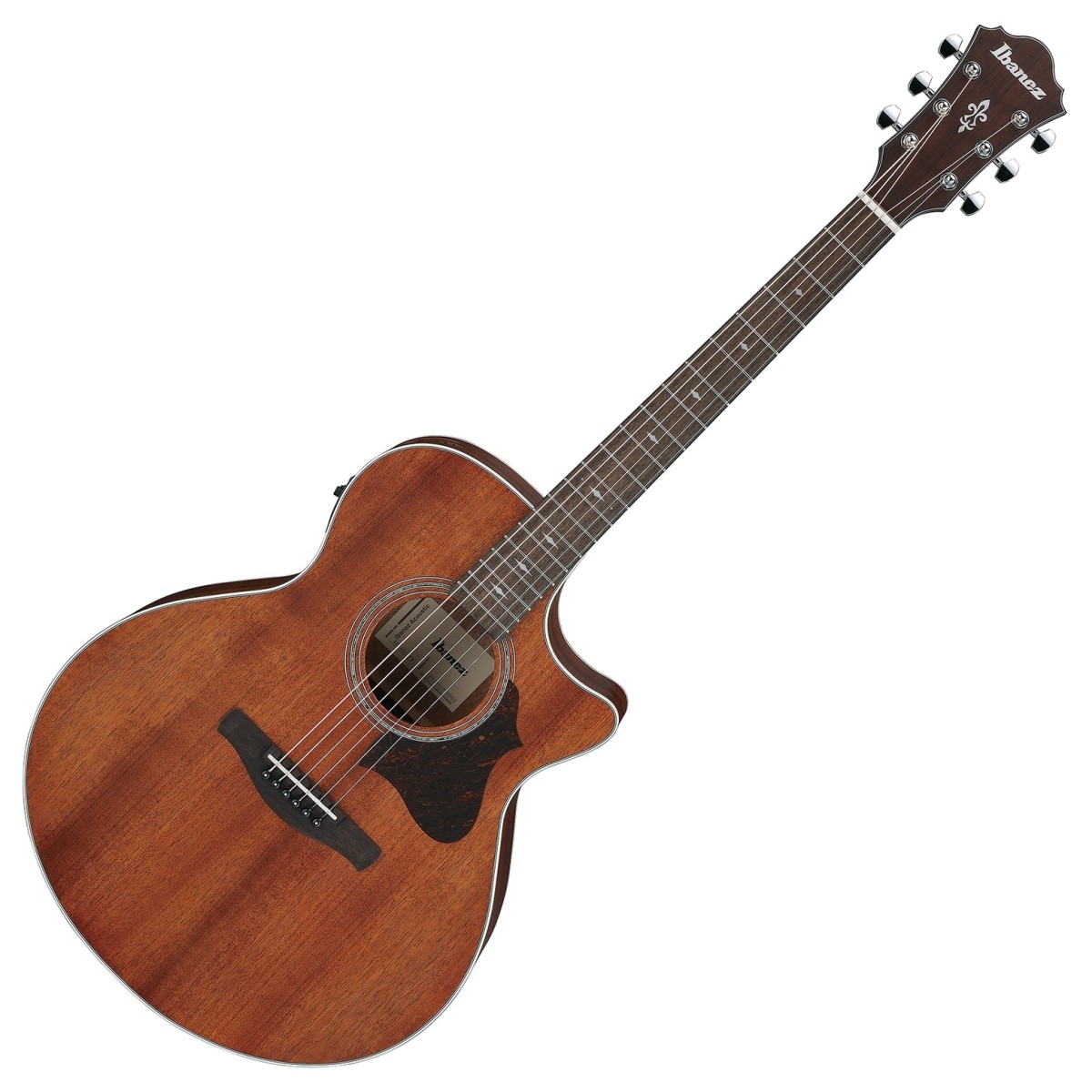 Click to view product details and reviews for Ibanez Ae140 Opn Open Pore Natural.