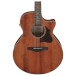 Ibanez AE140-OPN Open Pore Natural - body
