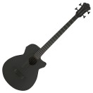 Ibanez AEGB420-BOT 4-String Acoustic Bass, Black Out
