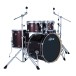 Ludwig Evolution 22