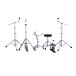 Ludwig Evolution 22