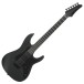 Ibanez AZ41B1-BKF Iron Label, Black Flat