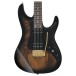 Ibanez AZ41P1EW-NGT Premium, Natural Gray Burst - body