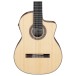 Ibanez GA3007CE-NT 7-String Classic Guitar, Natural High Gloss - body