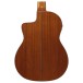 Ibanez GA3007CE-NT 7-String Classic Guitar, Natural High Gloss - back of body