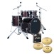 Ludwig Evolution 22