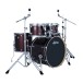 Ludwig Evolution 22
