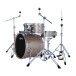 Ludwig Evolution 22