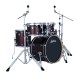 Ludwig Evolution 20