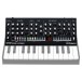 Roland SE-02 Analogue Synthesizer - With Keys (Keyboard Not Included)