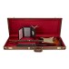 Fender Custom Shop Limited Edition 60s DualMag II Compound Radius Stratocaster Relic, Target 3tsb - guitar in case