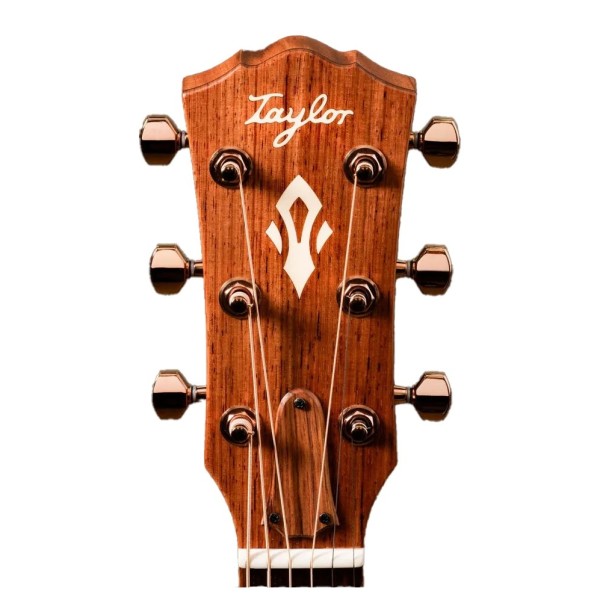 Taylor Ben Harper Gold Label 512e Grand Concert - headstock