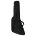 Epiphone Explorer Custom Futura, Firestorm Shift - back of gig bag