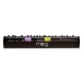 Moog Matriarch Polyphonic Analog Synthesizer - Rear