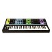 Moog Matriarch Paraphonic Analog Synth - Front Top