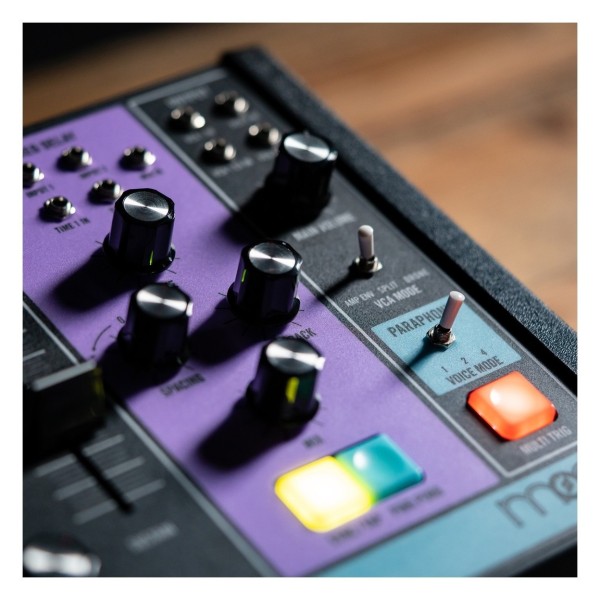 Moog Matriarch Paraphonic Analog Synth - Detail 2
