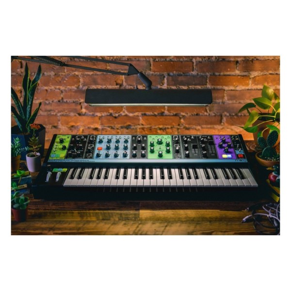 Moog Matriarch Paraphonic Analog Synth - Lifestyle