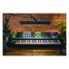Moog Matriarch Paraphonic Analog Synth - Lifestyle