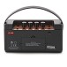 G4M Portable Acoustic Amp with Bluetooth