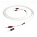 Chord RumourX 2 Metre Speaker Cable with Banana Plug (Pair) curl