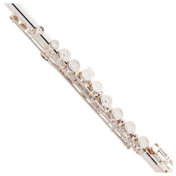 Trevor James Chanson Flute, Shaped Lip Plate 2