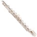 Trevor James Chanson Flute, Shaped Lip Plate 2