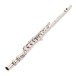 Trevor James Chanson Flute, Shaped Lip Plate 3