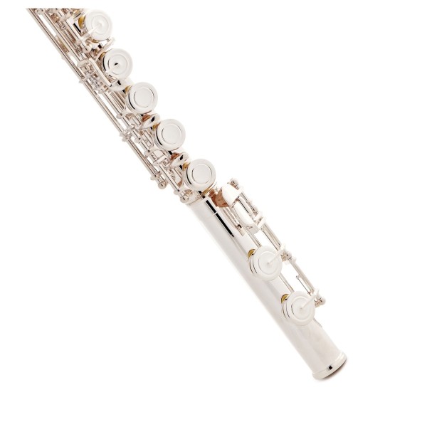 Trevor James Chanson Flute, Shaped Lip Plate 5