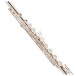 Trevor James Virtuoso Flute, Shaped Lip Plate 2