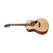 Ibanez AAM100e Advanced Auditorium, Electro Acoustic, Natural