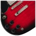 Epiphone SG Tribute Plus Left Handed, Cherry Burst - controls
