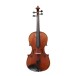 Eastman Master Viola Outfit with Gold Level Setup, 15.5