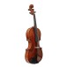 Eastman Master Viola Outfit with Gold Level Setup, 15.5