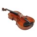 Eastman Master Viola Outfit with Gold Level Setup, 15.5