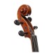 Eastman Master Viola Outfit with Gold Level Setup, 15'' 6