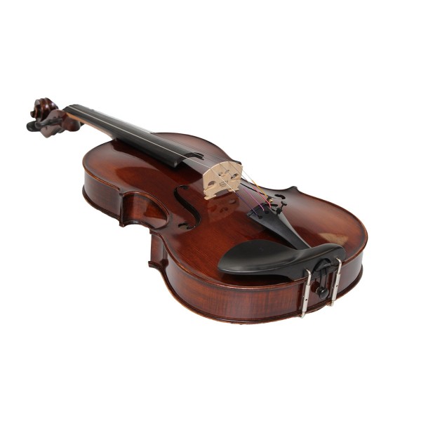Eastman Concertante Antiqued Viola Outfit with Gold Level Set Up, 15.5" 7