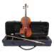 Eastman Master Series Stradivarius Violin Outfit with Gold Set Up 1
