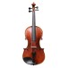 Eastman Master Series Stradivarius Violin Outfit with Gold Set Up 2