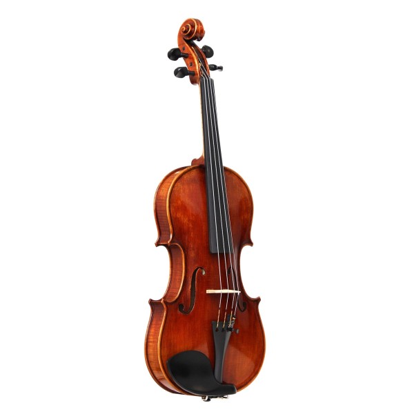 Eastman Master Series Stradivarius Violin Outfit with Gold Set Up 3