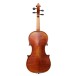 Eastman Master Series Stradivarius Violin Outfit with Gold Set Up 4