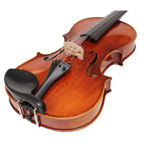 Eastman Master Series Stradivarius Violin Outfit with Gold Set Up 5
