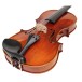 Eastman Master Series Stradivarius Violin Outfit with Gold Set Up 5