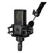 LCT 440 PURE Condenser Microphone, Black - On Stand (Stand Not Included)