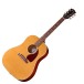 Gibson J-45 Standard, Gold Top
