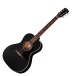 Gibson L-00 Special, Satin Ebony