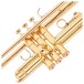Yamaha YTR 8335RC Commercial Trumpet, Gold Lacquer 4