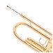Yamaha YTR 8335RC Commercial Trumpet, Gold Lacquer 5
