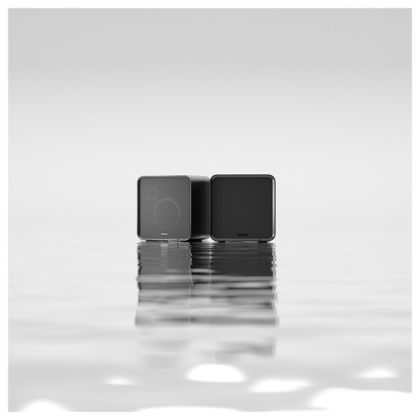 Eversolo SE100 Passive HiFi Bookshelf Speakers  lifestyle  2