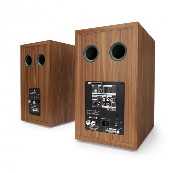 Triangle Borea BR03 Connect Active Speakers (Pair), Green rear 
