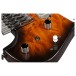 Ibanez Q54WAM, Dragon Eye Burst
